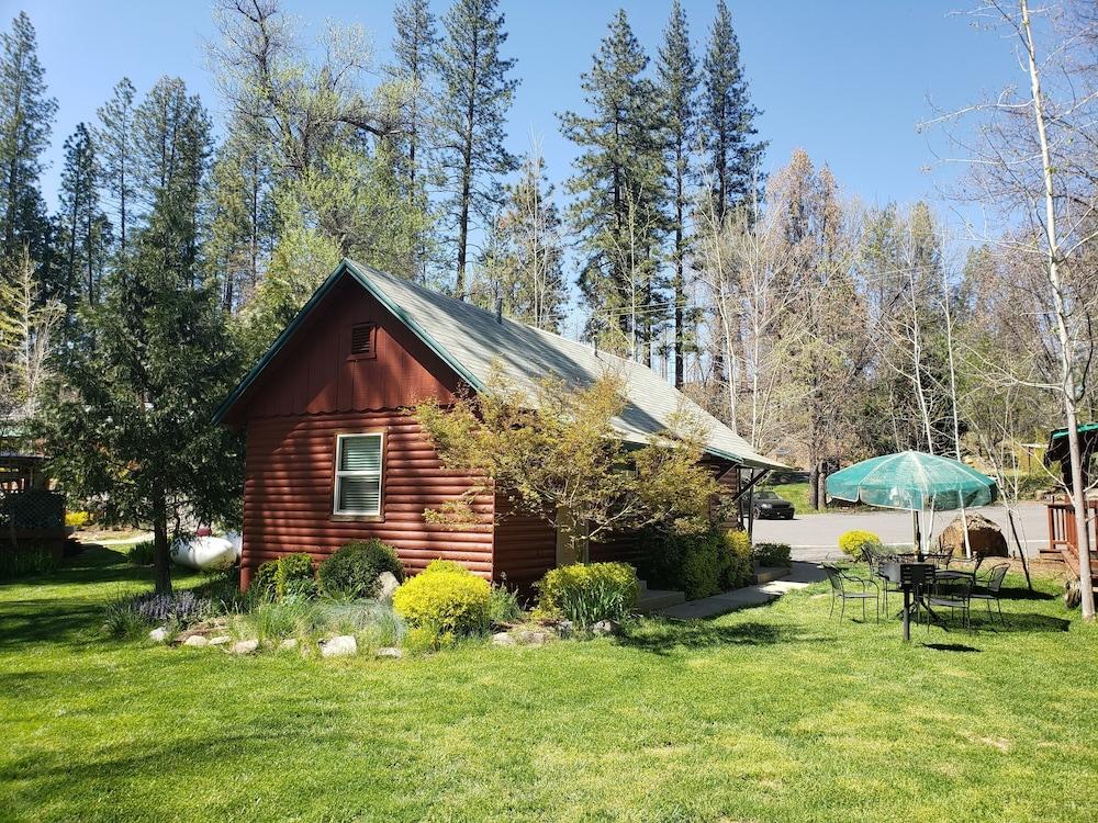 Yosemite Riverside Inn Groveland Zewnętrze zdjęcie