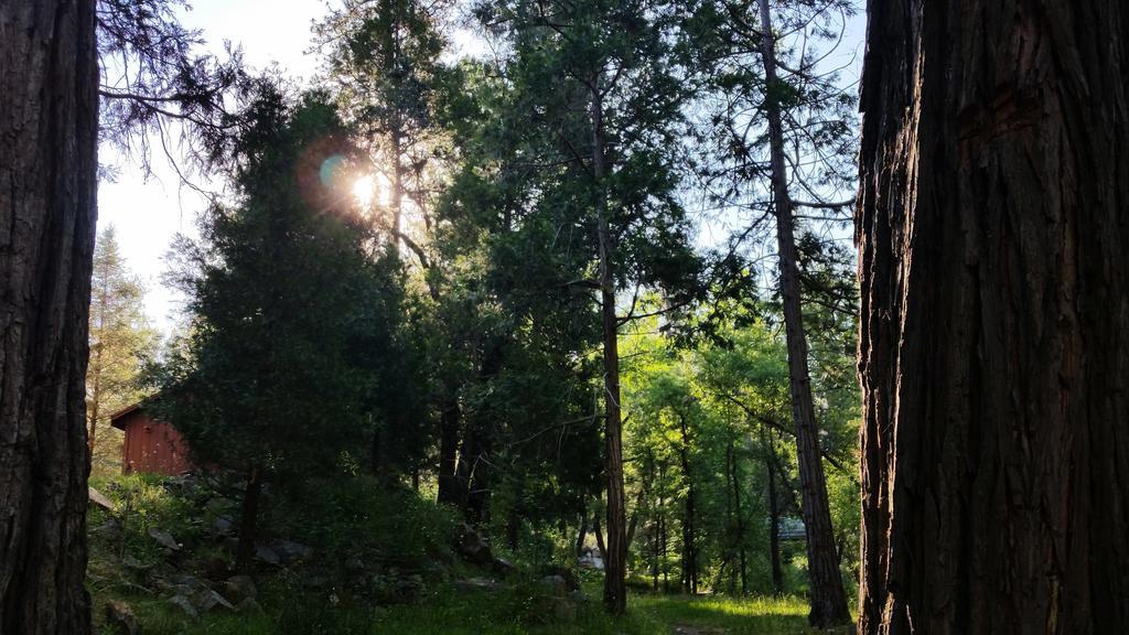 Yosemite Riverside Inn Groveland Zewnętrze zdjęcie