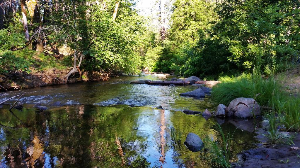 Yosemite Riverside Inn Groveland Zewnętrze zdjęcie