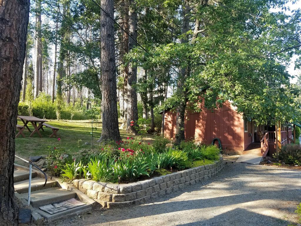 Yosemite Riverside Inn Groveland Zewnętrze zdjęcie
