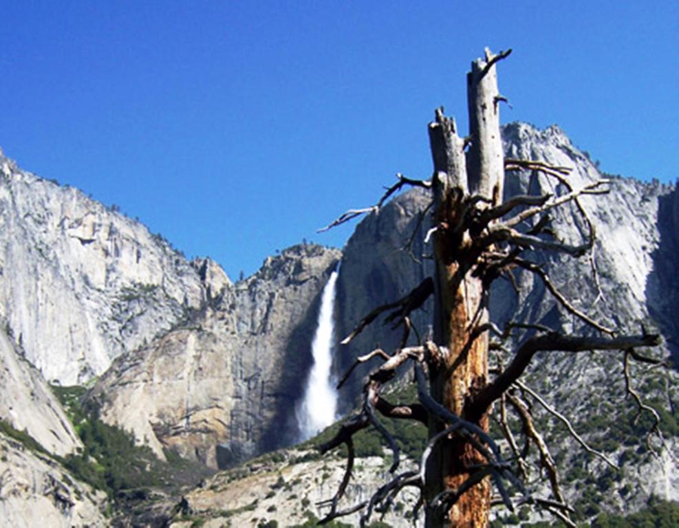 Yosemite Riverside Inn Groveland Zewnętrze zdjęcie